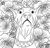 Sweetest Doberman Colouring Page
